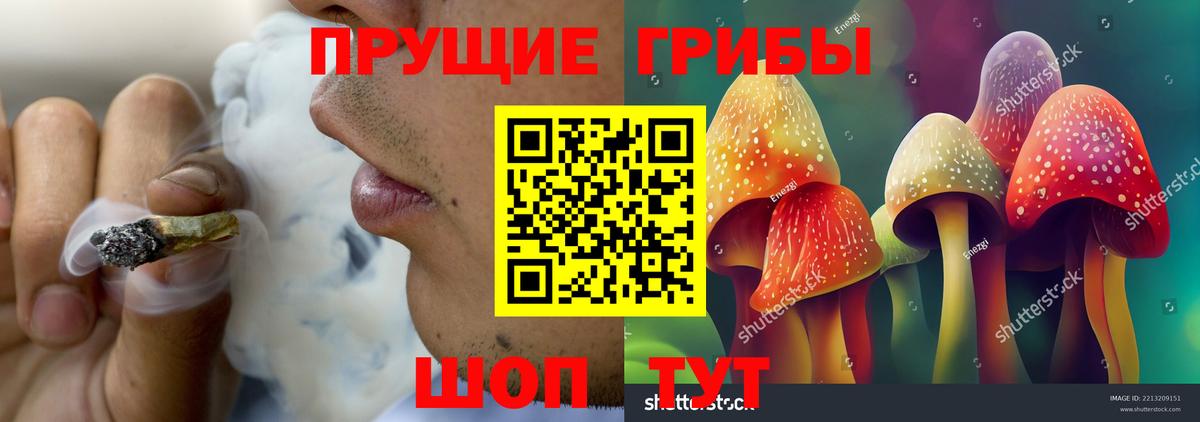 Псилоцибиновые грибы Cubensis  Вход с VPN  Галлюциногенные грибы мухоморы  продажа наркотиков  Касимов 
